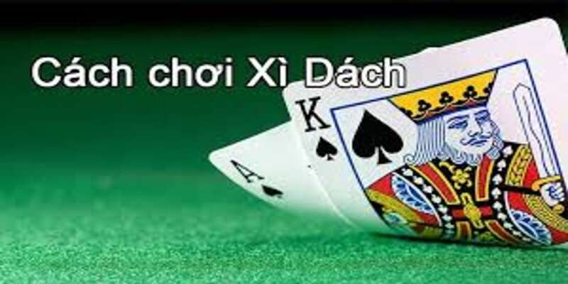 Chiến thuật hay để chơi xì dách 789club đạt kết quả tốt 